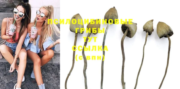 шишки Липки