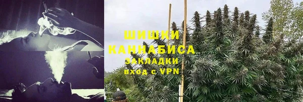 MESCALINE Аркадак